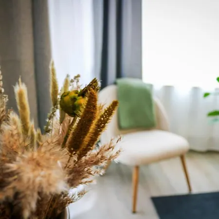 Schoenhier - Design Mit Pool, Sauna 아파트 슈룩흐제